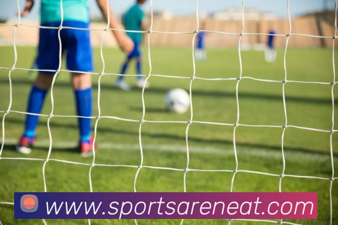 体育下注服务体系